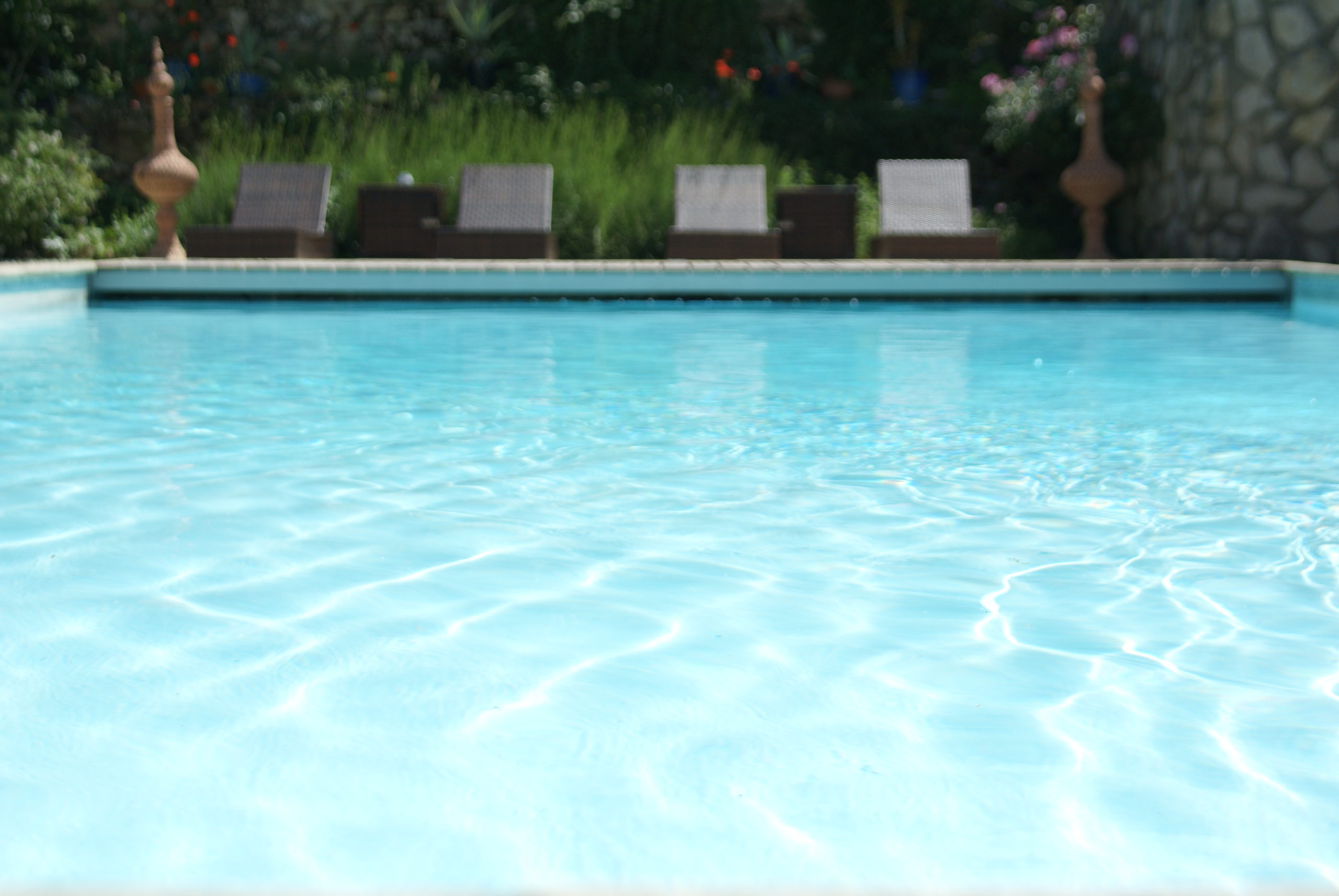 un plongeon dans la piscine 